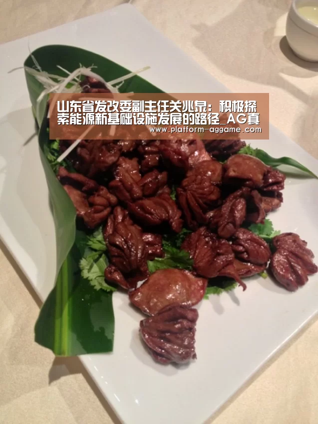 山东省发改委副主任关兆泉:积极探索能源新基础设施发展的路径_AG真人下载(图2) AG真人下载