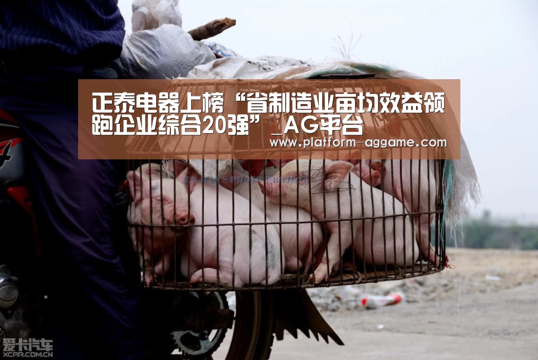 正泰电器上榜“省制造业亩均效益领跑企业综合20强”_AG平台