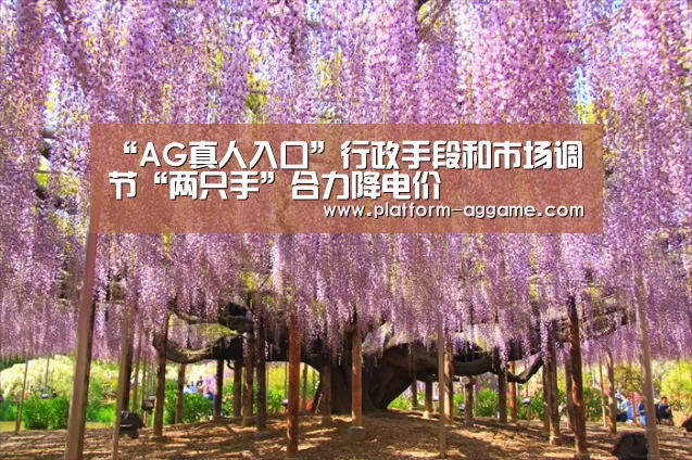 “AG真人入口”行政手段和市场调节“两只手”合力降电价(图2) AG真人入口