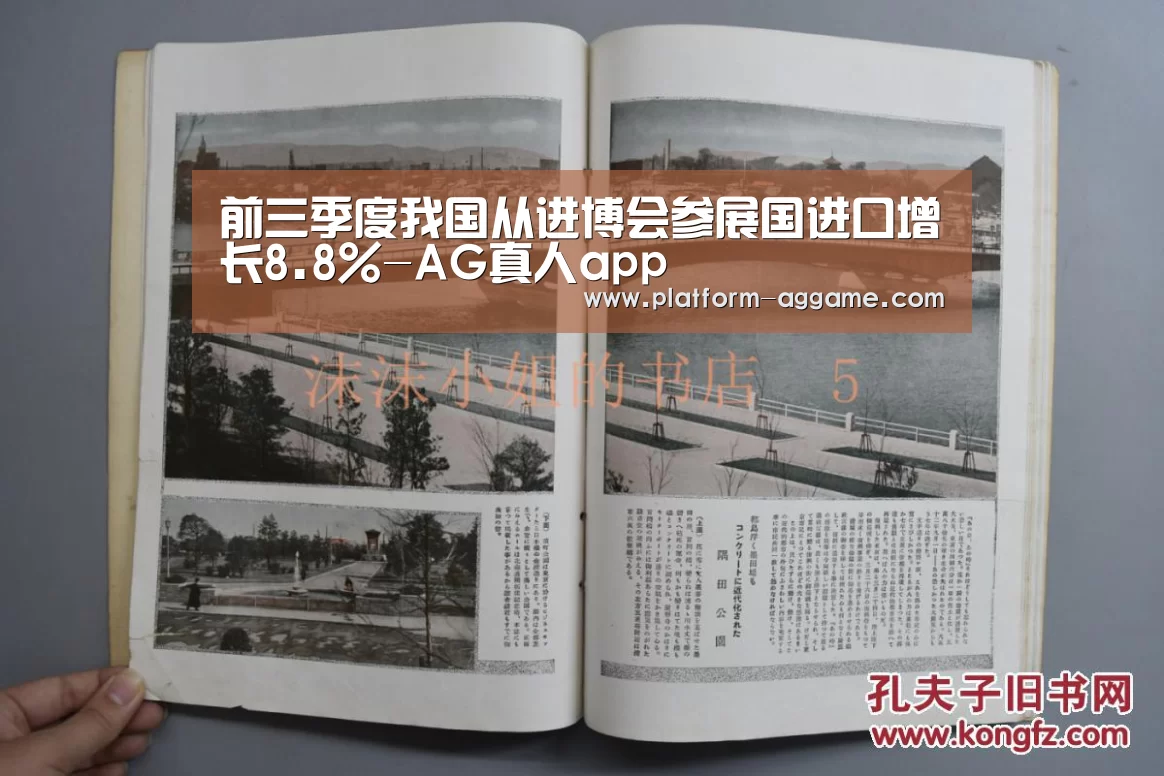 前三季度我国从进博会参展国进口增长8.8%-AG真人app