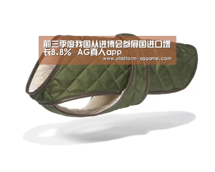 AG真人下载