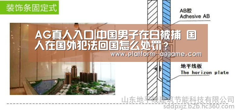 AG真人入口|中国男子在日被捕 国人在国外犯法回国怎么处罚？