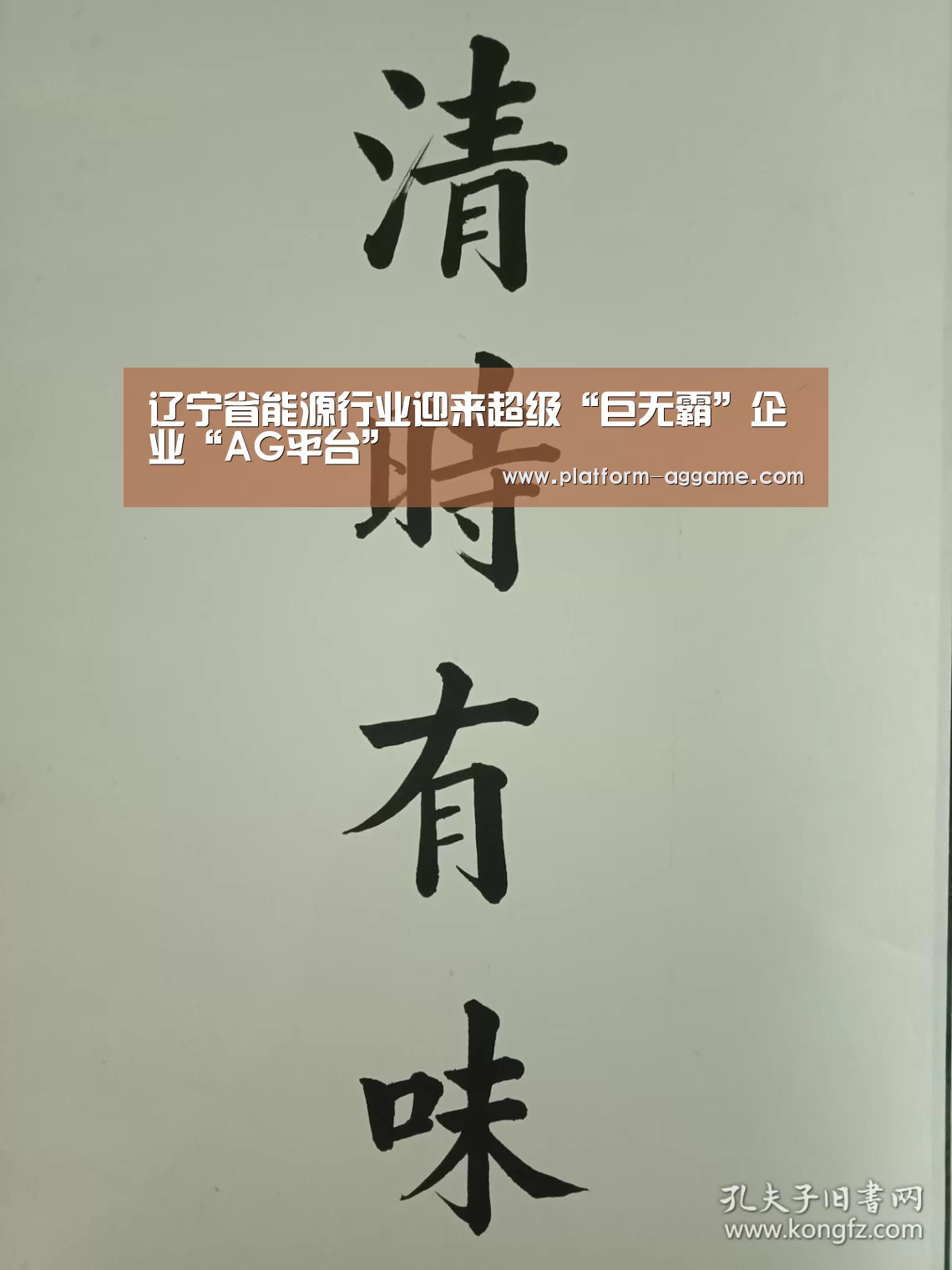 辽宁省能源行业迎来超级“巨无霸”企业“AG平台”